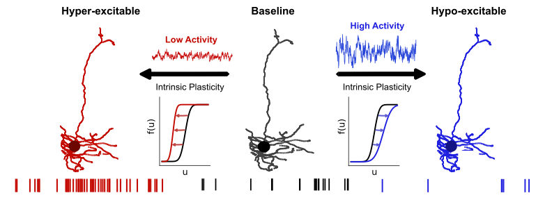 PRX Life tweet media