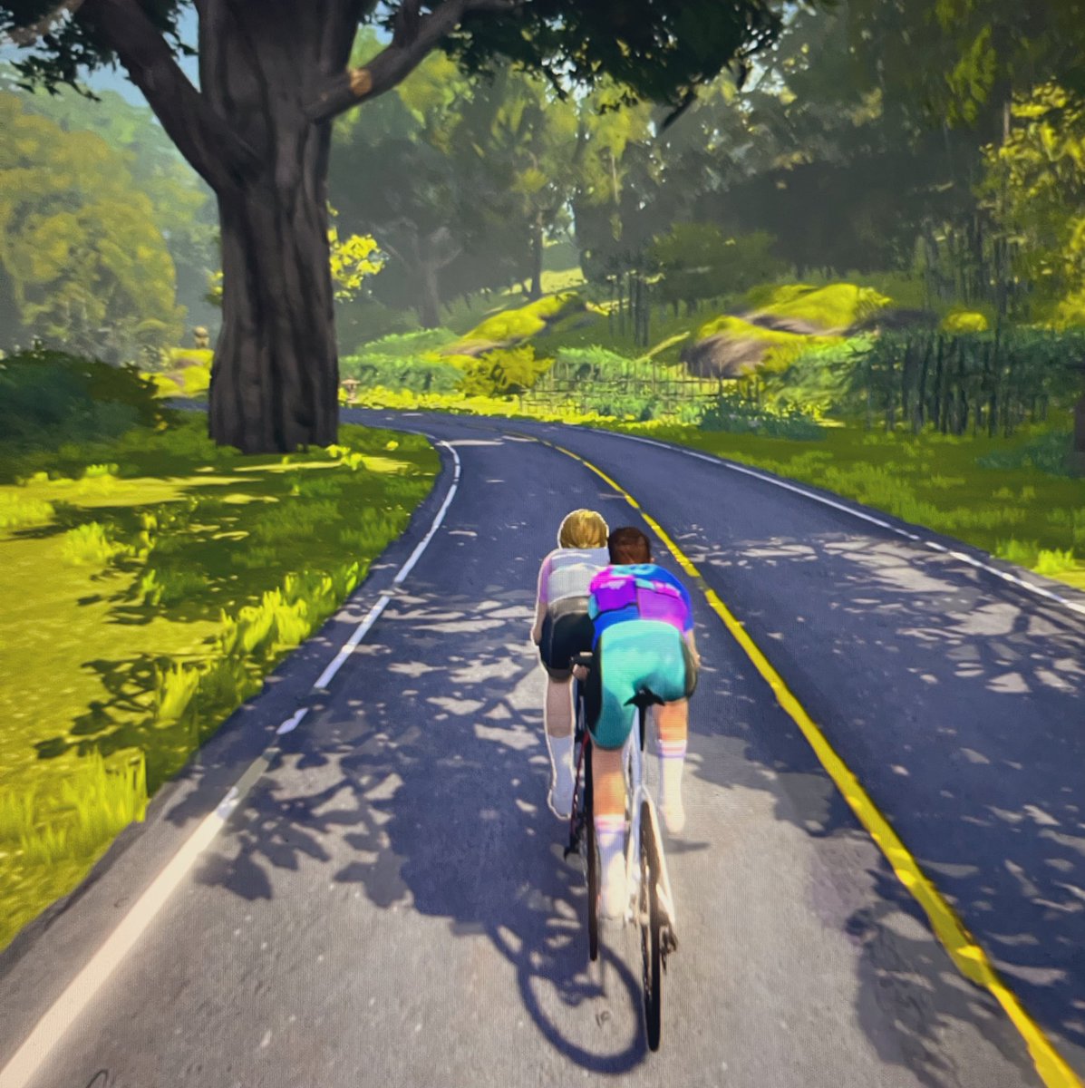 Petite Cyclist tweet media