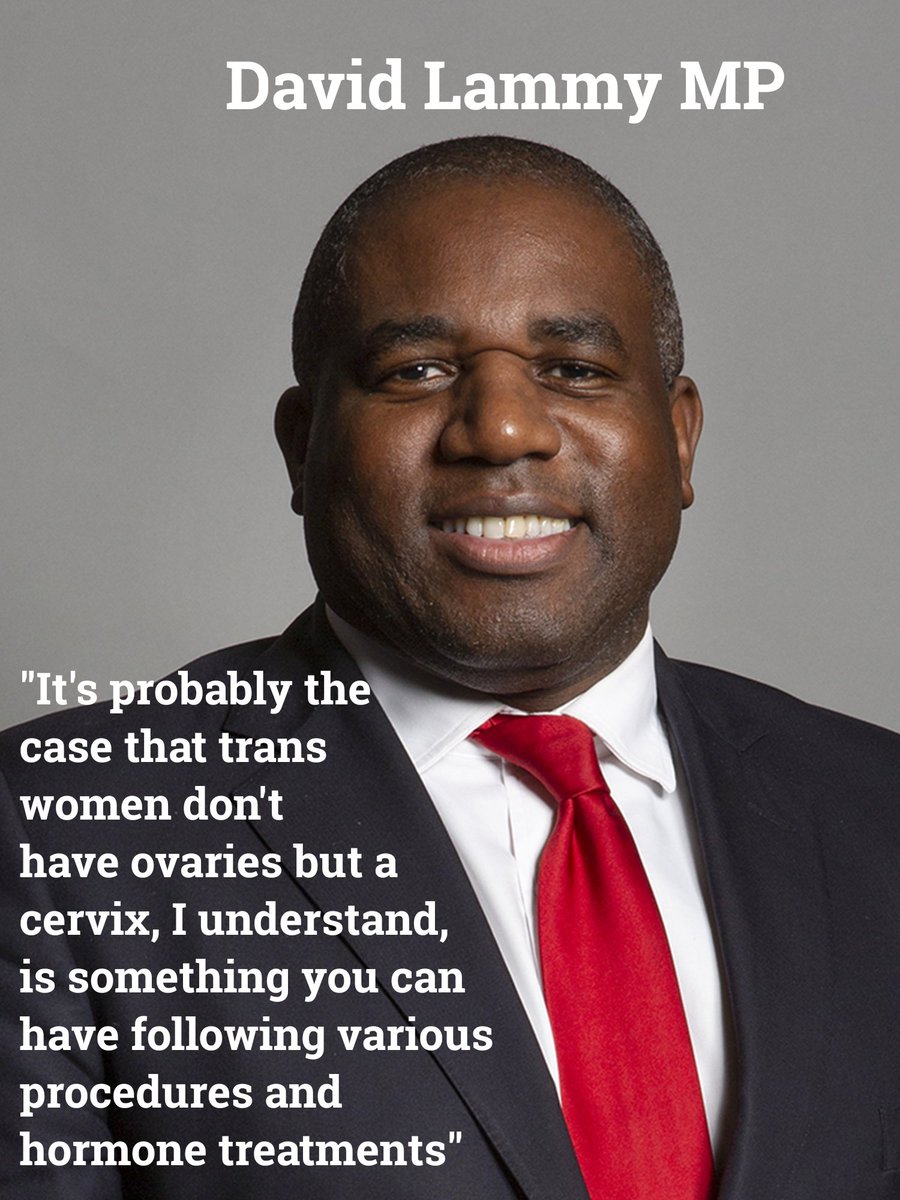 Melindi Scott tweet media