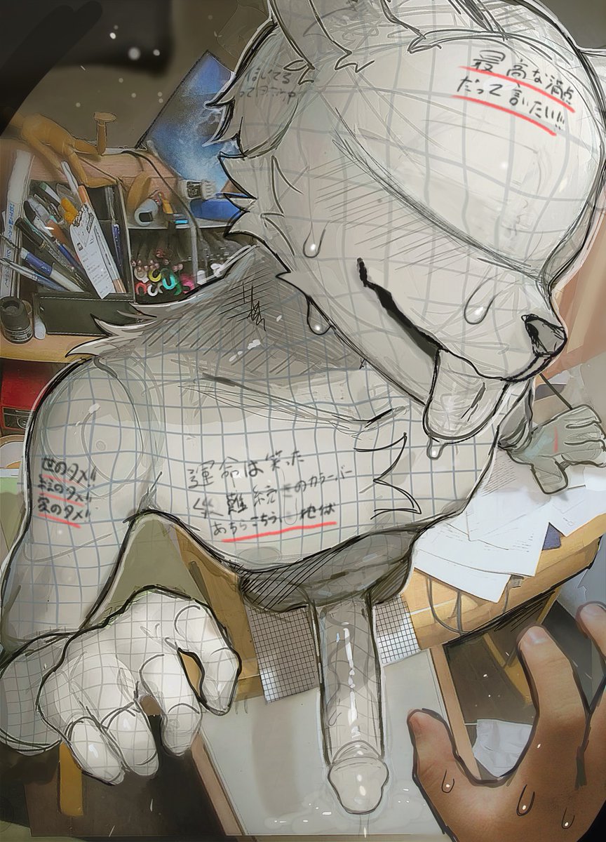 ケモかにゃ🔞kemo kanya tweet media