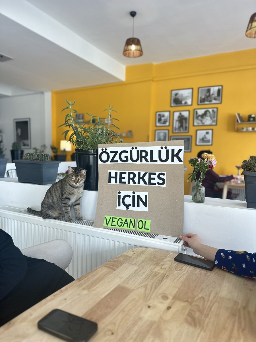 gabo_kitchen's tweet photo. ÖZGÜRLÜK HERKES İÇİN✌️

#veganol https://t.co/Fo1rnacfNl