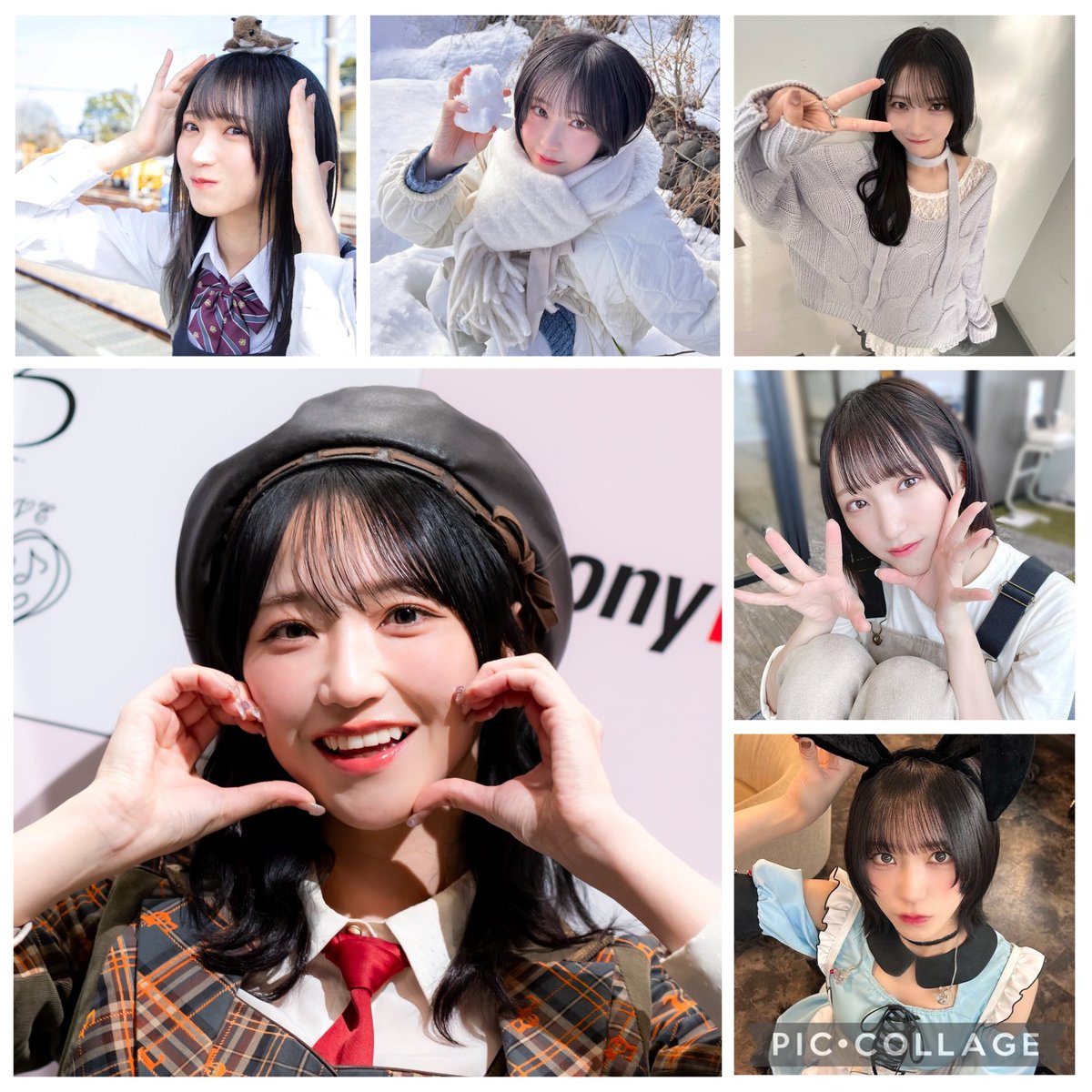 八重歯（やえば） tweet media