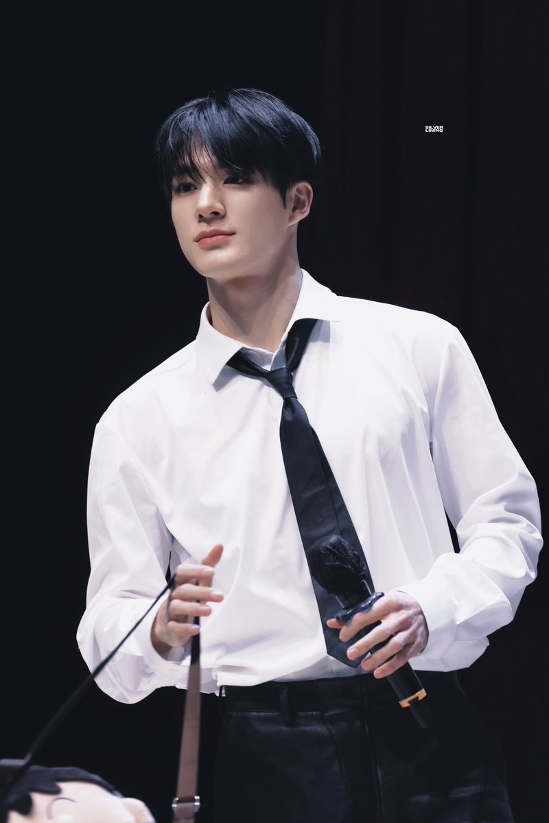 𝐬𝐢𝐥𝐯𝐞𝐫 𝐥𝐢𝐧𝐢𝐧𝐠. tweet media