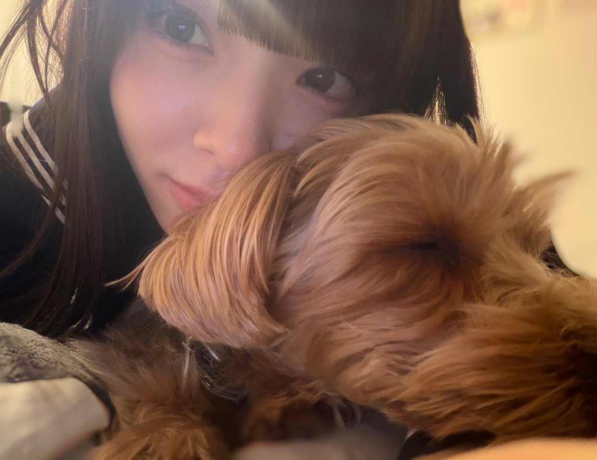 乃木坂46 tweet media