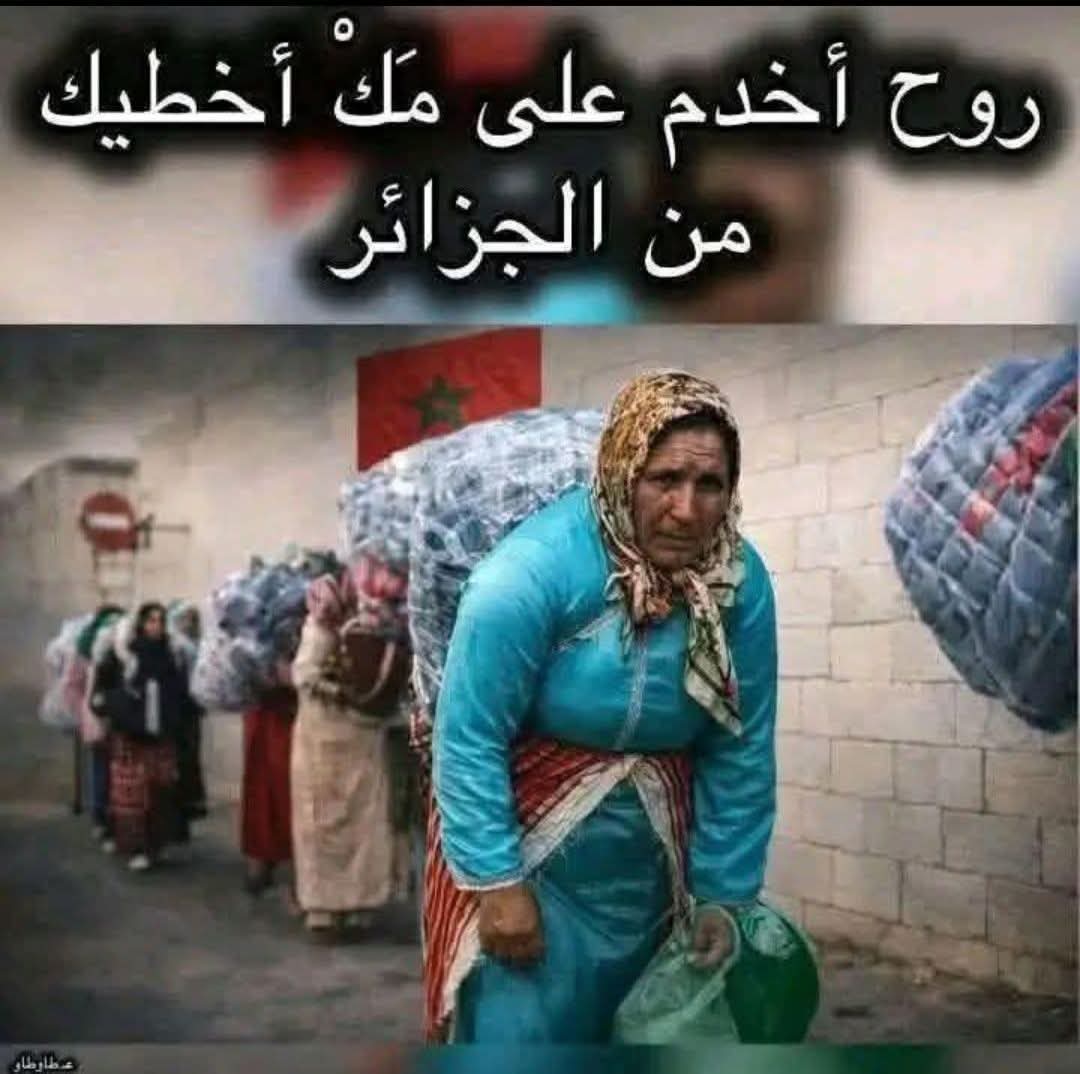 Papillons 85 tweet media