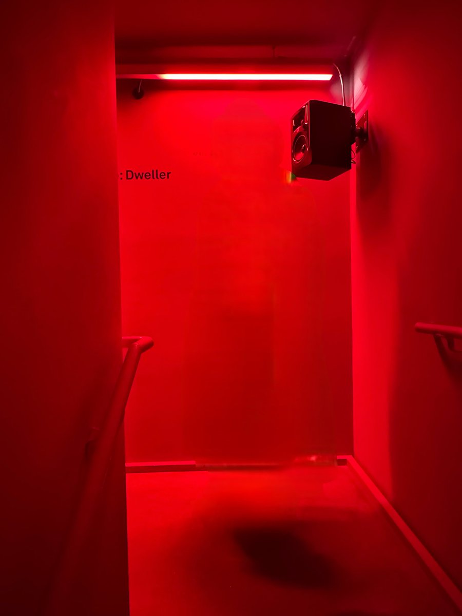 Damjanski 🥳 tweet media