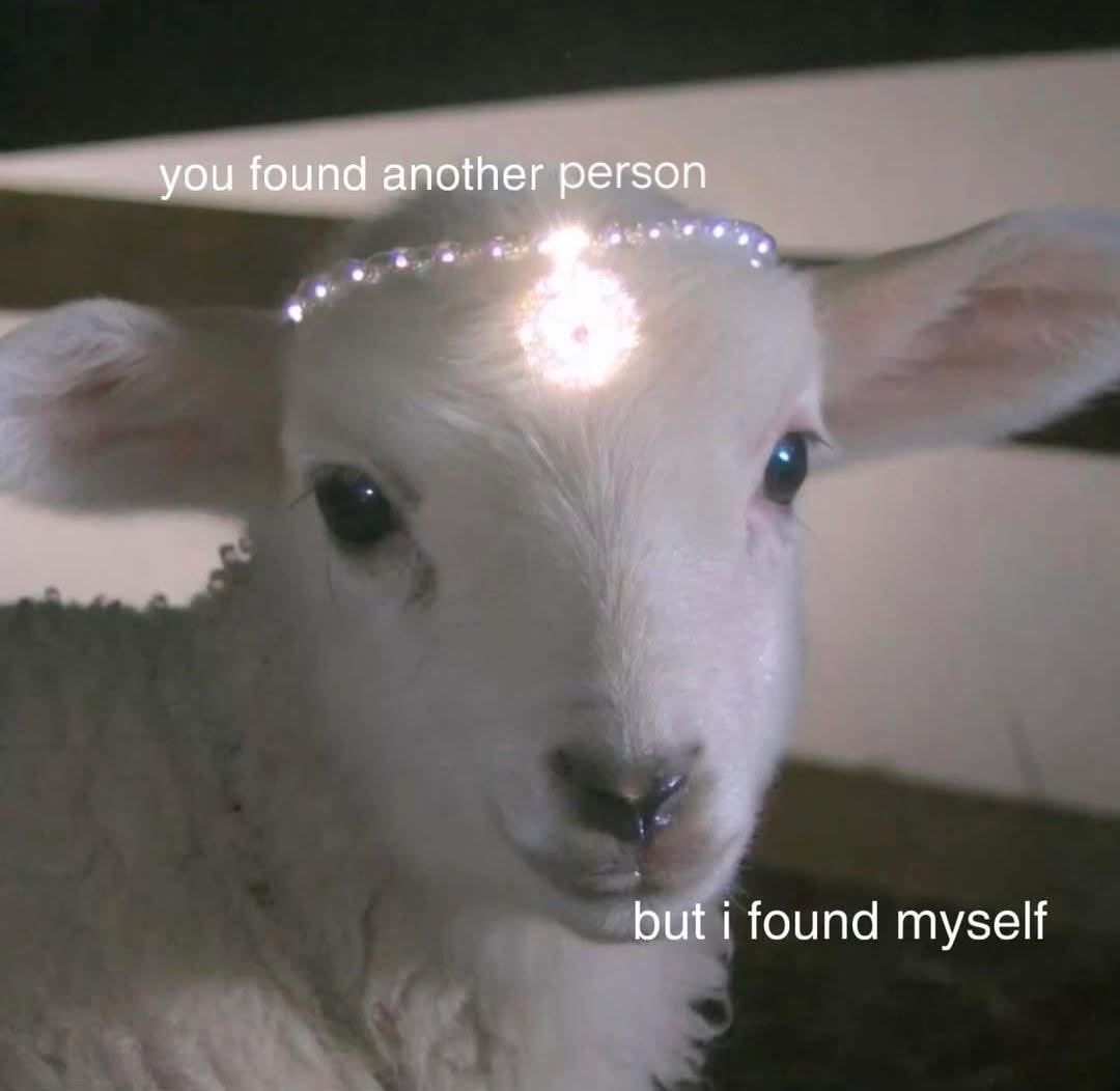 dogecore tweet media