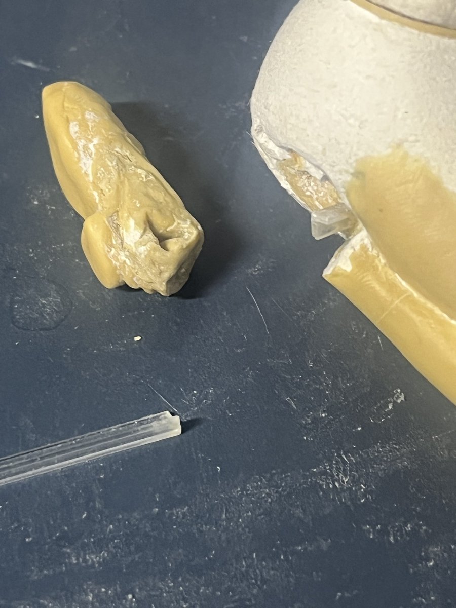 一生ROMる tweet media