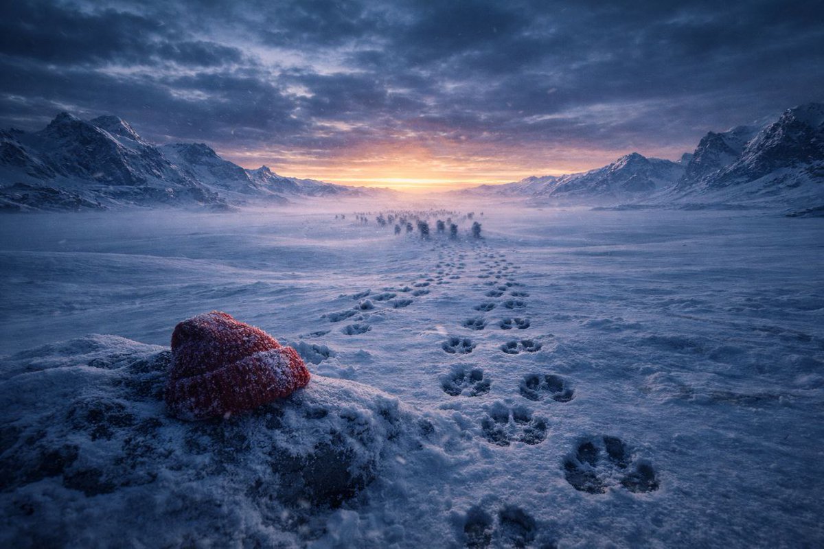 THE ARCTIC IS CHANGING ❄️🐺

The story ended. But the Arctic didn’t.

Since the pack formed, something shifted in the tundra. More footprints. More wolves moving through the snow.

Some arrive curious. Some arrive hungry. Some arrive thinking it’s just another noise in the