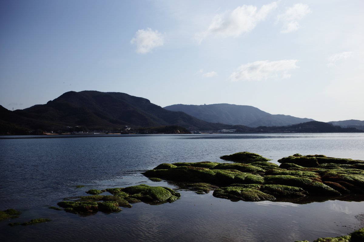 青木崇行 (Soko Aoki) tweet media