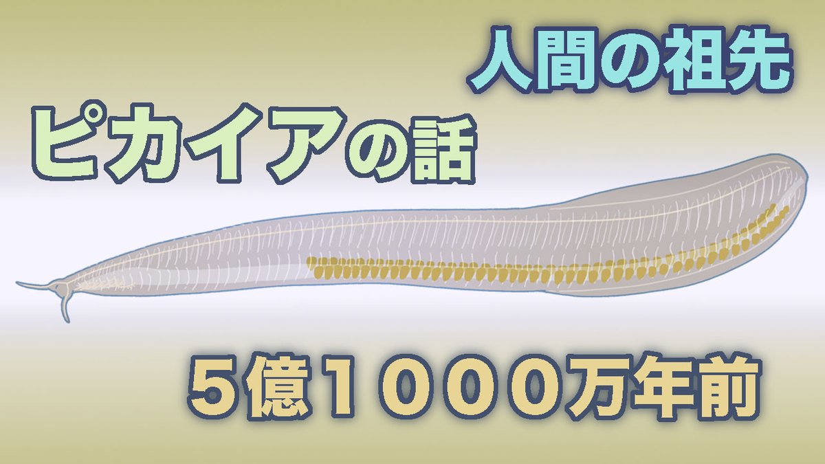 北村雄一の火星人宣伝ラジオ　Radio Martian tweet media