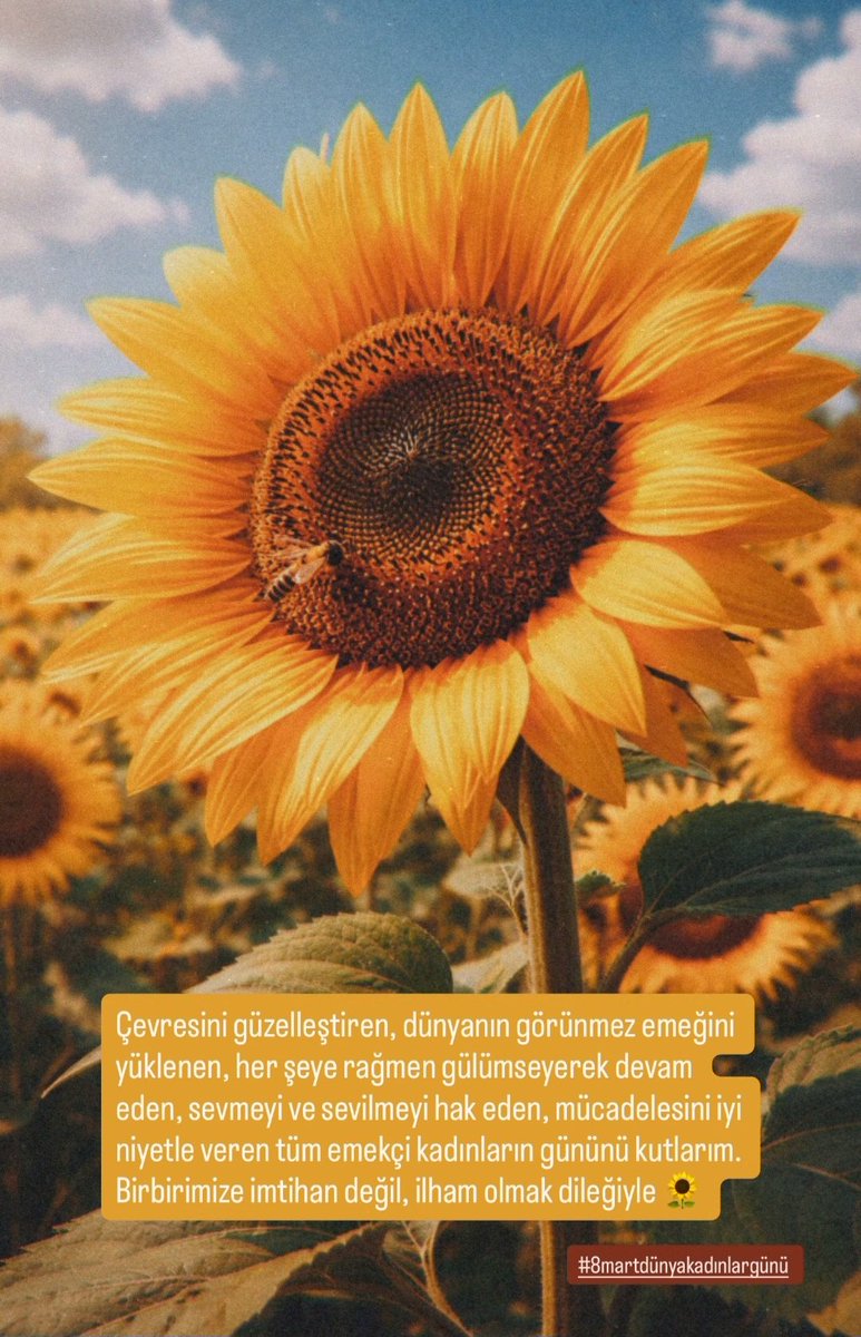 _mferide's tweet photo. Birbirimize imtihan değil, ilham olmak dileğiyle....... ✍️
Haklısın rebru...
Günümüz kutlu olsun 🌻 https://t.co/nLvg1WYcKx