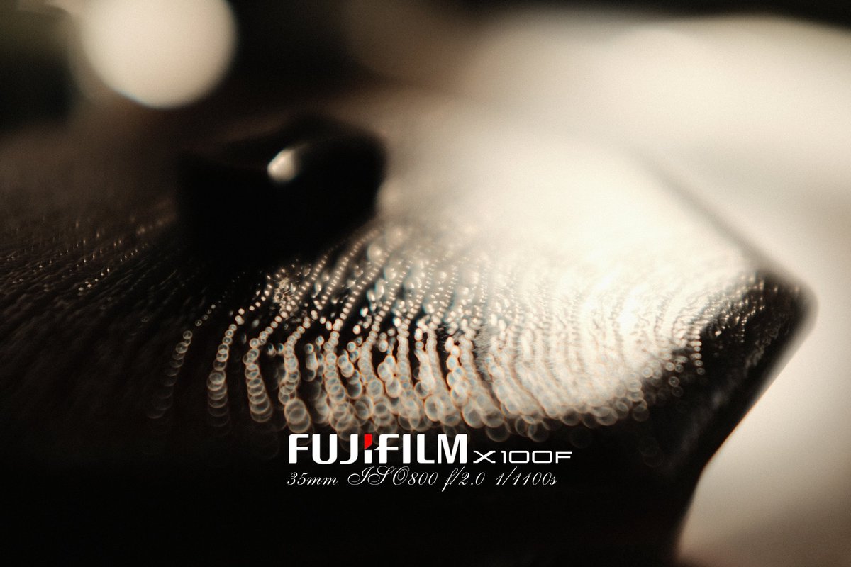 富士フイルムとなら、どんな景色も
ドラマティックに閉じ込められる📸
Shot in NUMAZU by X100F
#カメラ好きな人と繋がりたい 
#カメラマンさんと繋がりたい