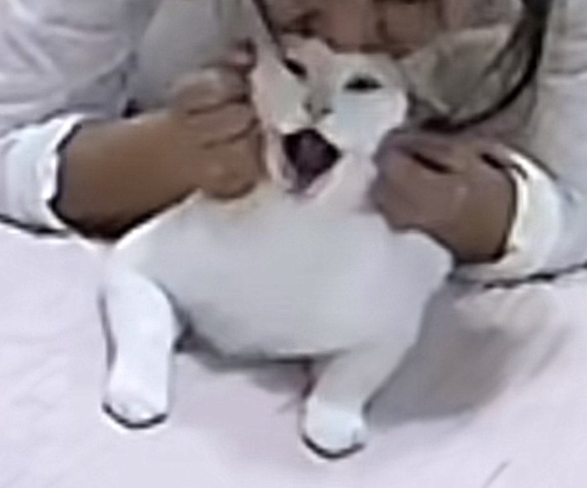 PikosNikos tweet media