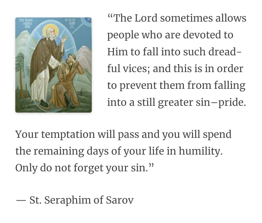 Jonah In Wales 🦊 tweet media