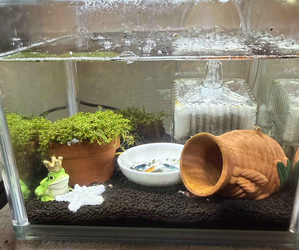 あばすぅ tweet media