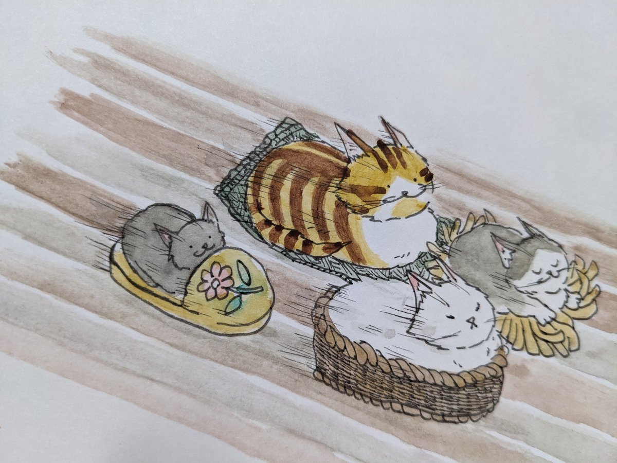 paseri021's tweet photo. Living room tournament. 
 ＃pasericat https://t.co/gSCtympzLD