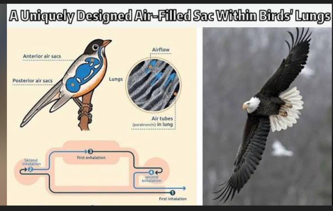 Divinely Designed tweet media