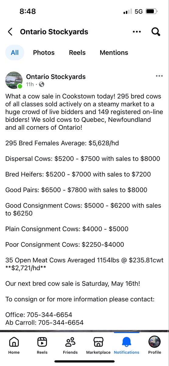 lyons🇨🇦 tweet media