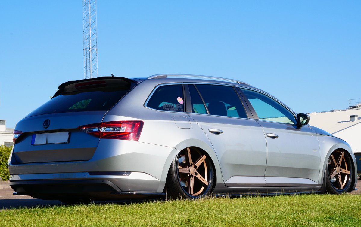 Vector Woof tweet media