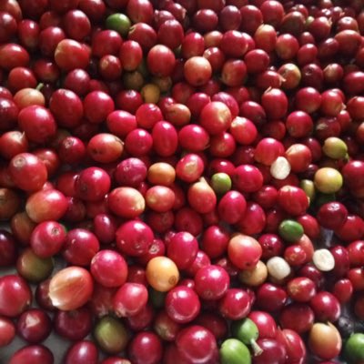 v2u_aa's tweet photo. #صورة_جديدة_للملف_الشخصي https://t.co/kZ40rKUa8O