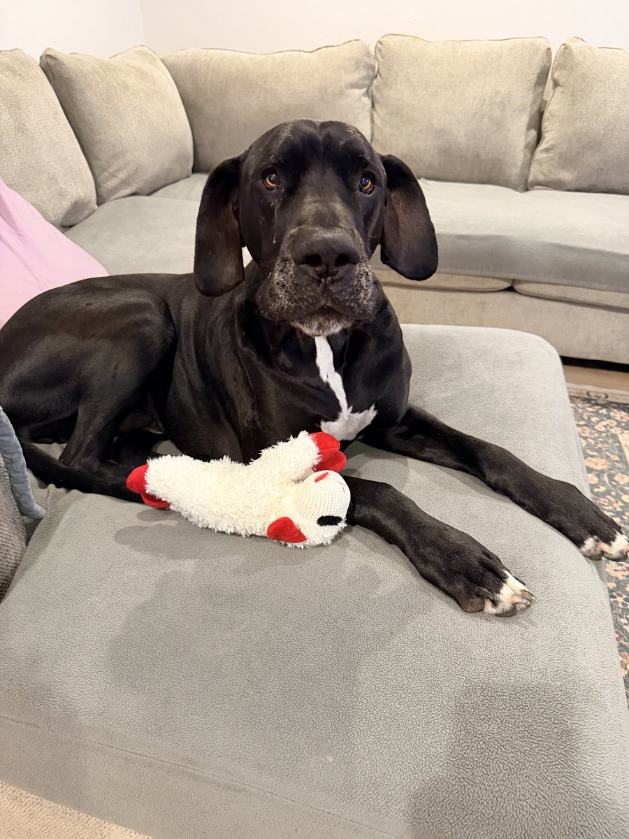 Marcus Sewell tweet media