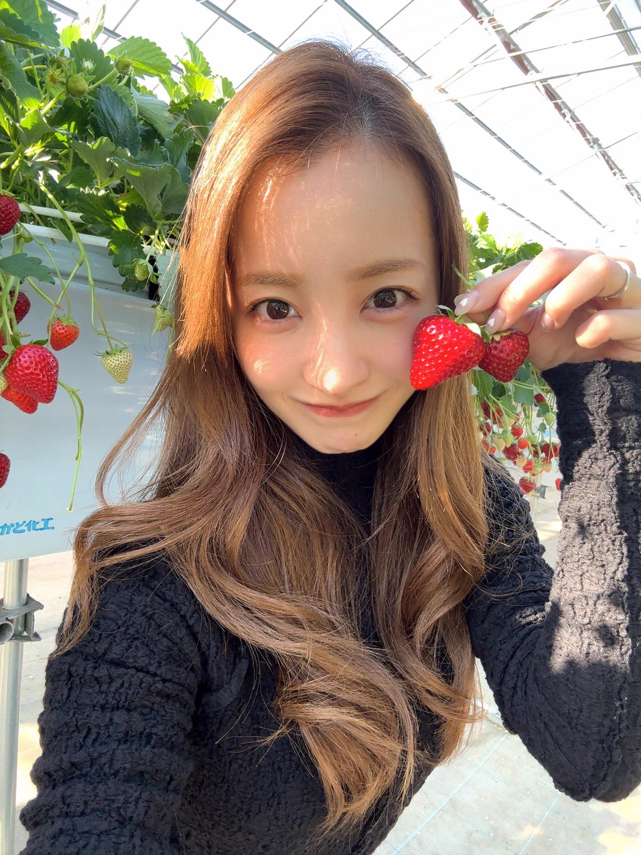 板野友美 (@tomo_coco73) / X