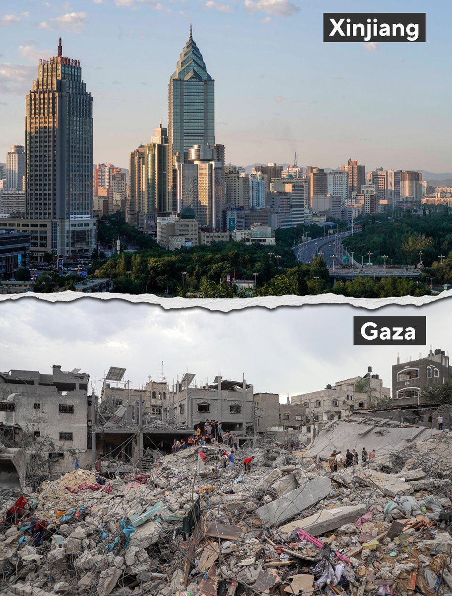 Dominic Lee 李梓敬 tweet media