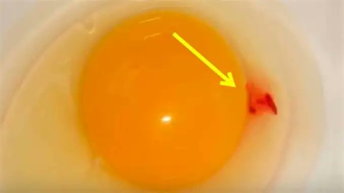 JM Virgili i Ortiga tweet media