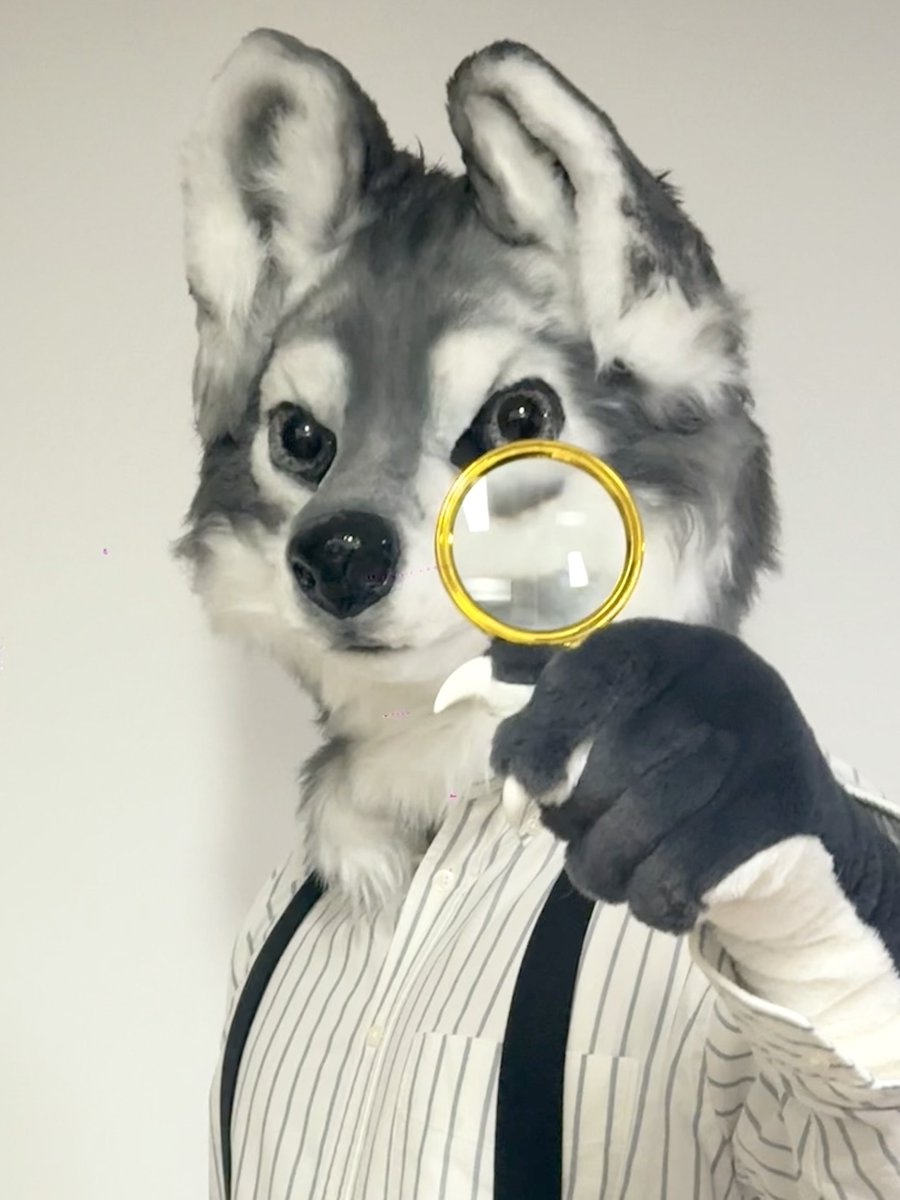 제크/페브르(Febre) 🔜FurstClass 2026 tweet media