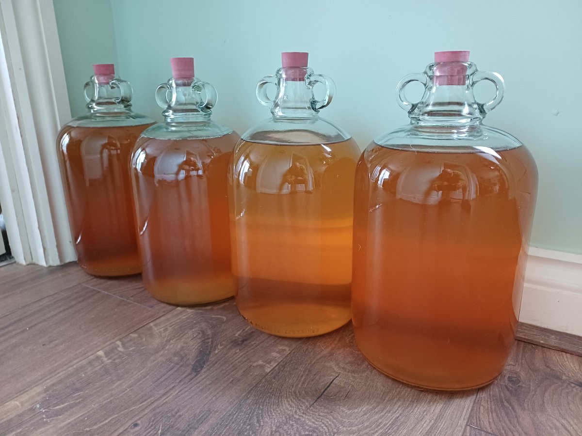 Racked off last summer's home made cider.