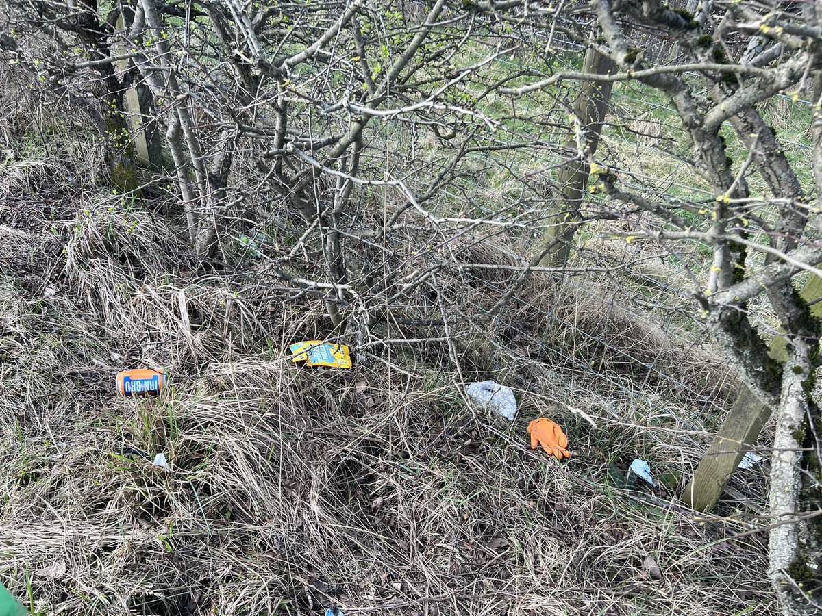 uddlitterpick's tweet image. Group pick 8/3

Aitkenhead rd  one hour 
22 bags plus loads of flytipping from the undergrowth. 
Fantastic turnout with great weather. 
Thanks to NLC for pick up today

#makingadifference

#civicpride