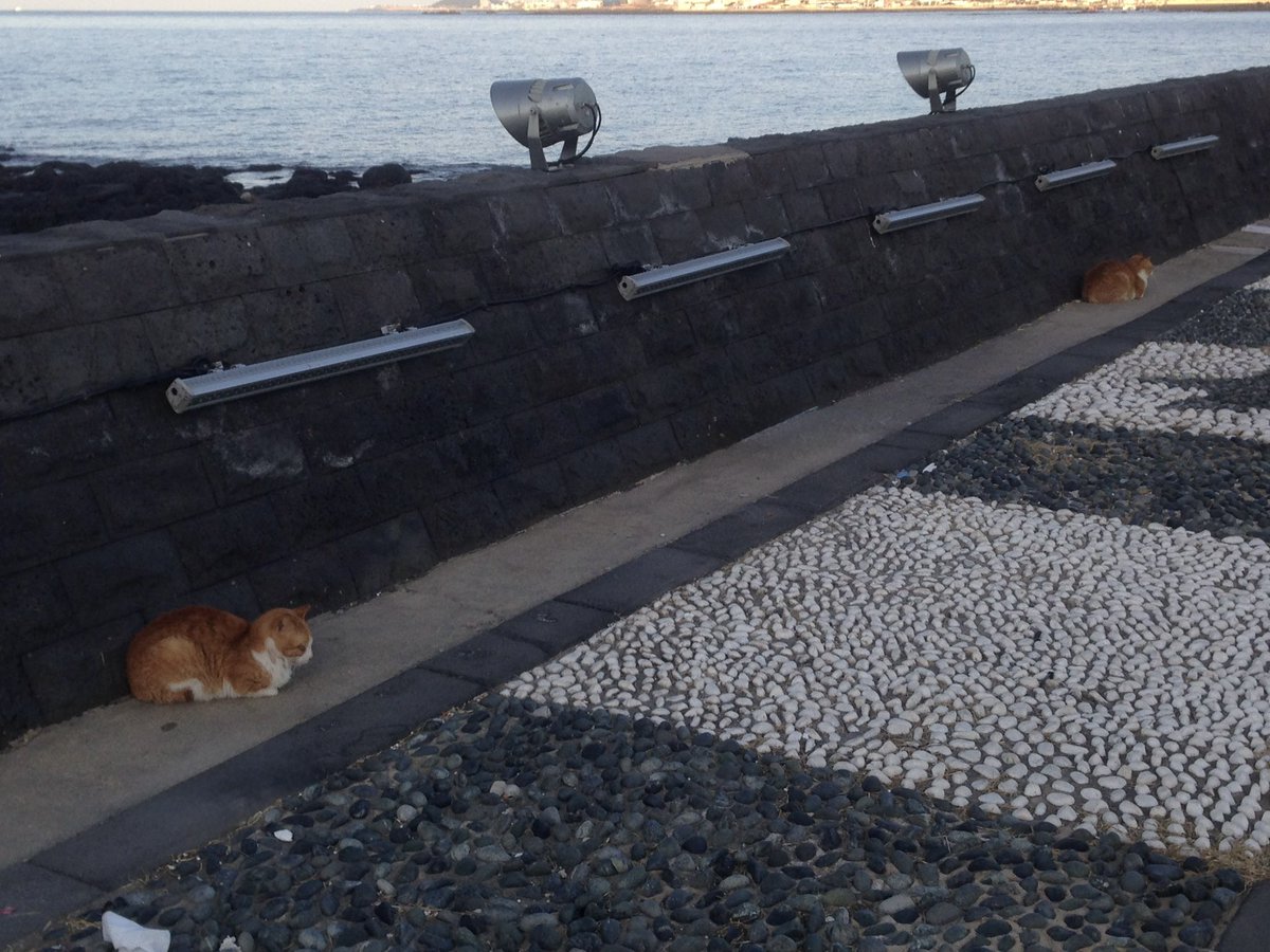 탕명수 tweet media