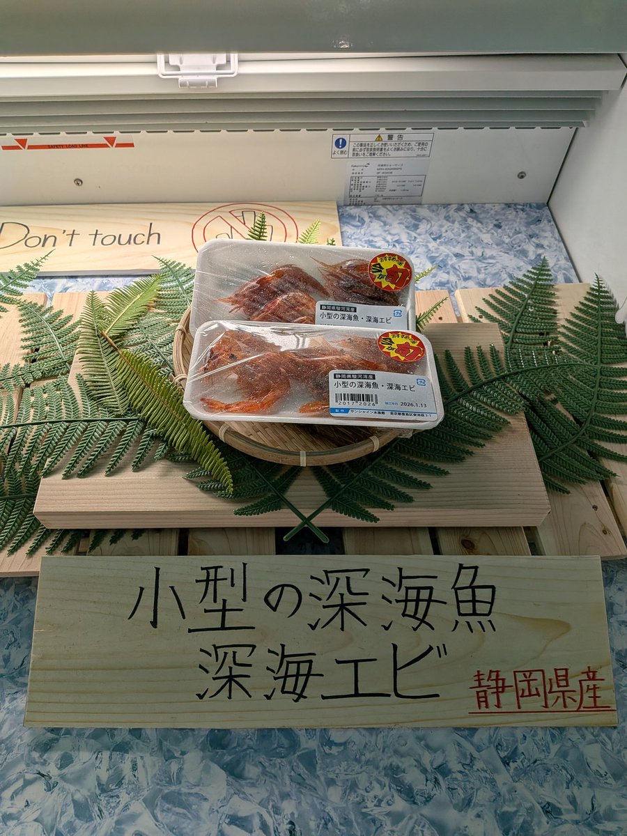 たこやき⸌⍤⃝⸍ / michiru tweet media