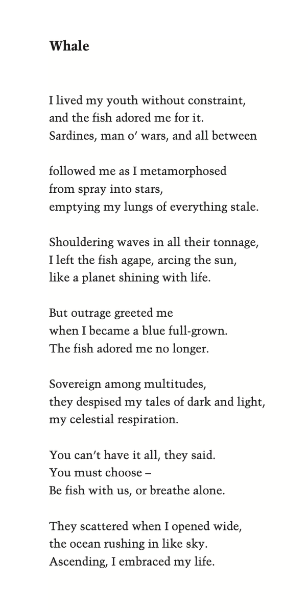 MsPollyClark's tweet photo. Happy #InternationalWomensDay.
Here’s a poem from Afterlife about becoming fully yourself — even when others wish you wouldn’t.
Delighted to be appearing on Free Speech Nation later today with @joshxhowie . https://t.co/c09eNfXe2U
