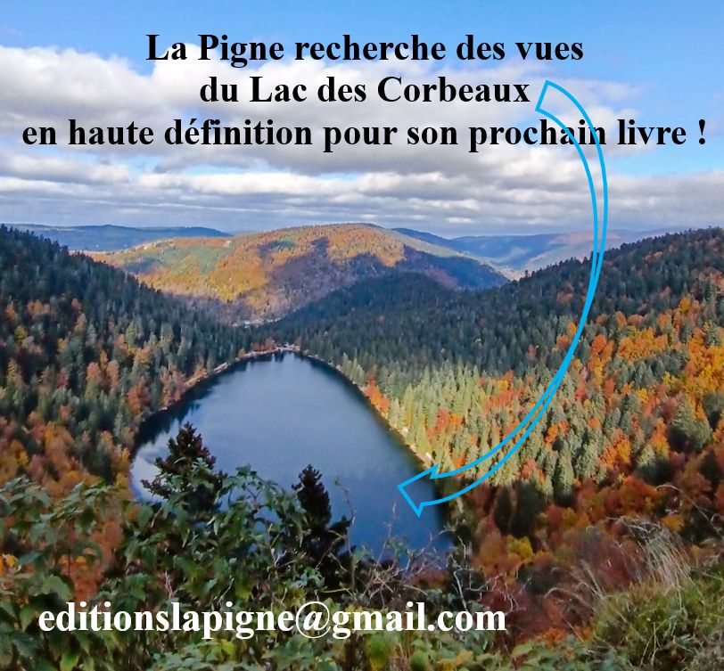 LaPigne tweet media