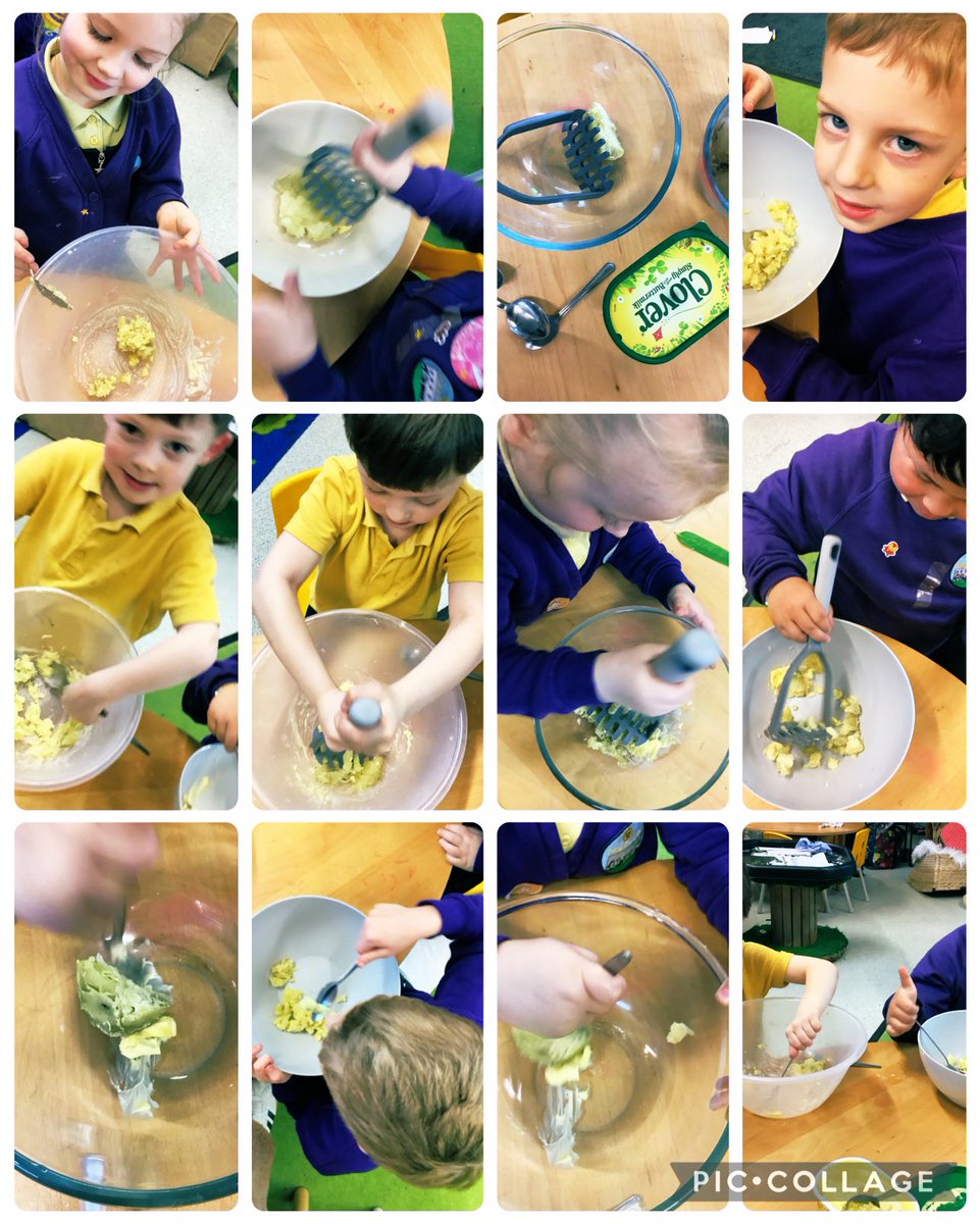 MrsFarrNCP's tweet photo. We are planting potatoes. We wanted to know more…
So we explored how they grow, their shape, texture, size and taste. 
Can we cook them Mrs Farr? Of course we can!
We then learned how to cook mashed potatoes. Delicious! 🥔 🪏 🪴 #AuthenticLearning @nantcelynschool https://t.co/ViHkQjkcMJ