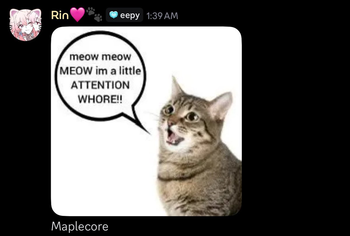 Meowple tweet media