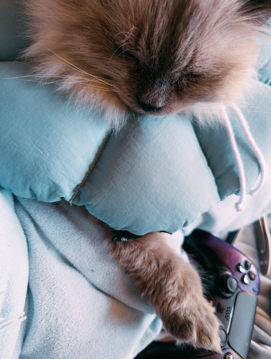 Becci 🎮📸 tweet media