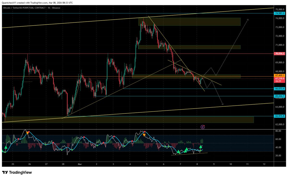 Tris₿it tweet media