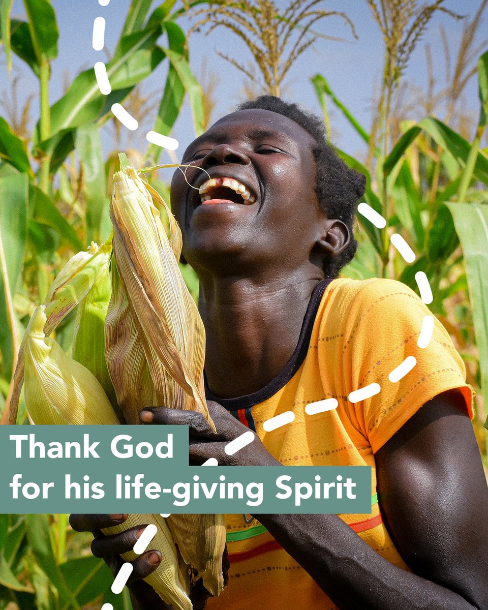 BMS World Mission tweet media