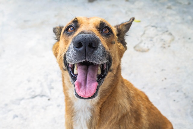 Chazo Craft tweet media