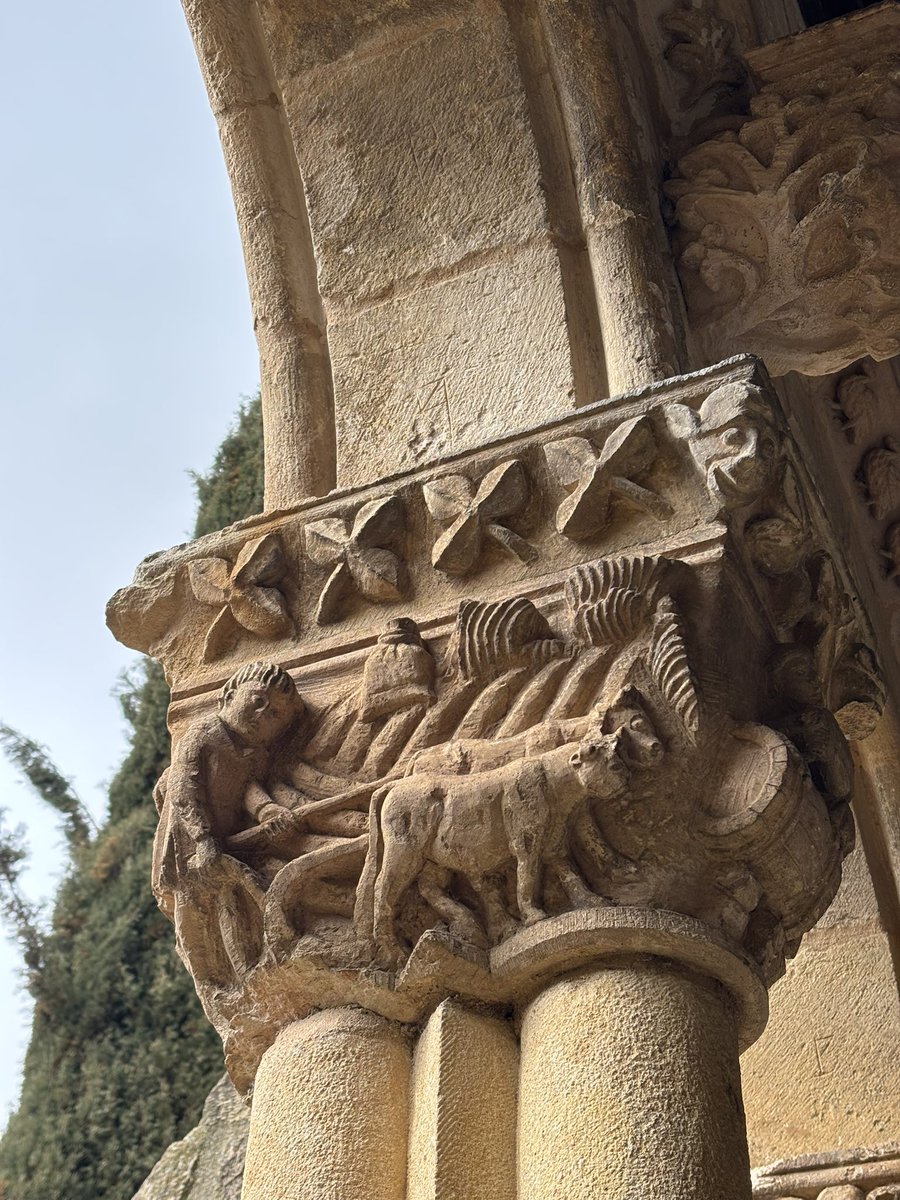 Capitel románico de un hombre arando con una yunta de vacas en el claustro del Monasterio de Nuestra Señora de la Soterraña en Santa María la Real de Nieva (Segovia). Como este hombre de hace 900 años, aró mi abuelo hace 70 años.