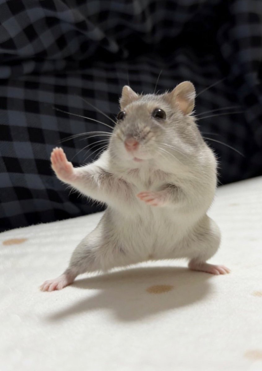 お前に俺の相手が務まるかは心配だがな