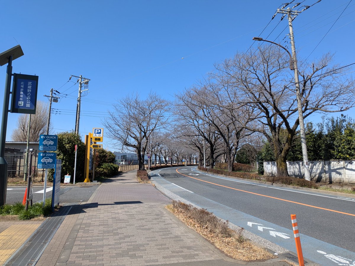 mkg91865's tweet photo. 山添さんと吉良さんの話. 聞き易かった（気負い/虚勢  無）😊 
Q.自分に何ができますか
A.声を出し広めよう.可視化する事で無視できなくなる.諦めずに..

ロンドン↑を見ると確かに..です.
この瞬間奪われる命  諦める訳には..
お散歩写真2枚、花無しの桜並木.
3週間後花盛り..? https://t.co/WP6l6SsDGv