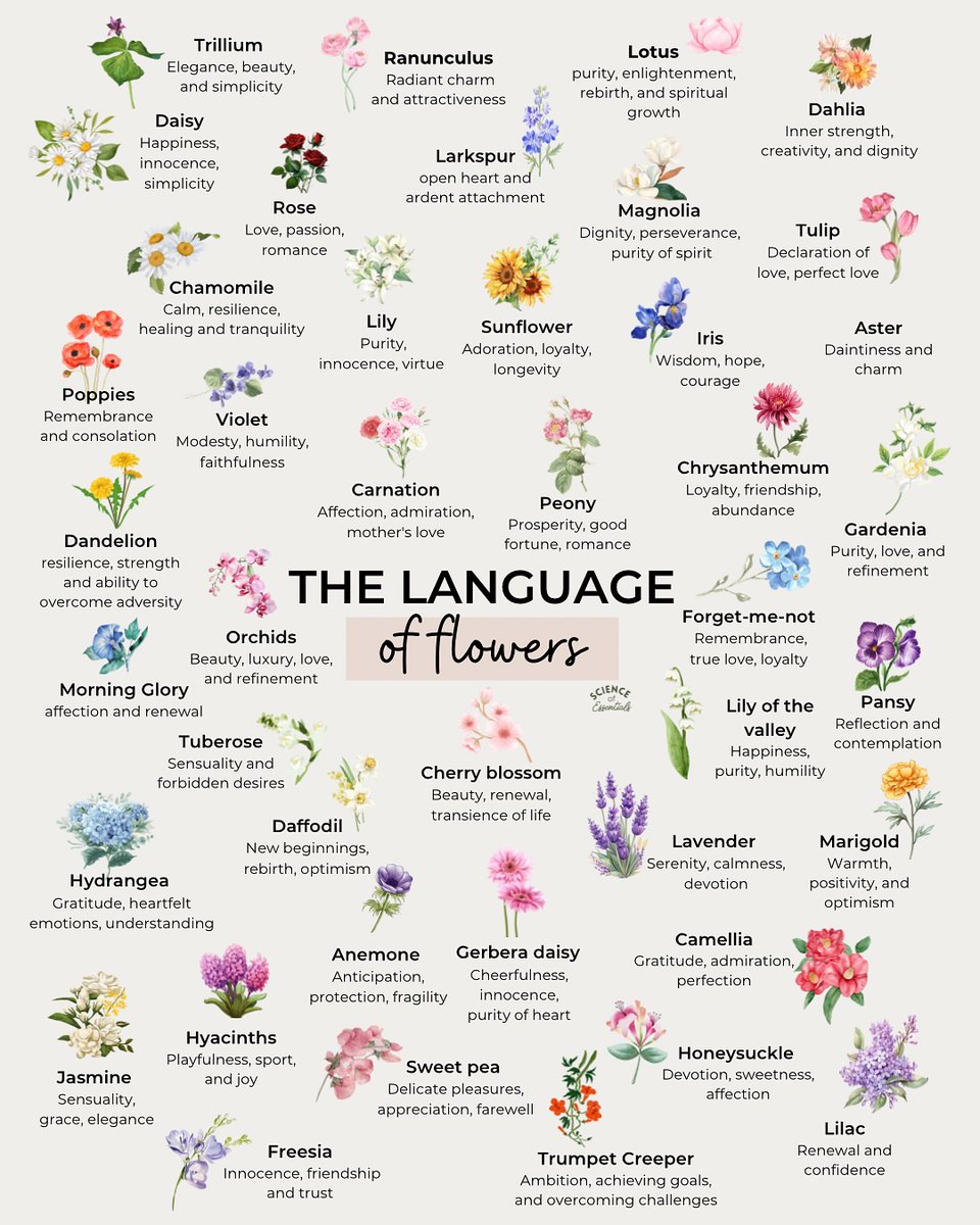 Bloomify tweet media