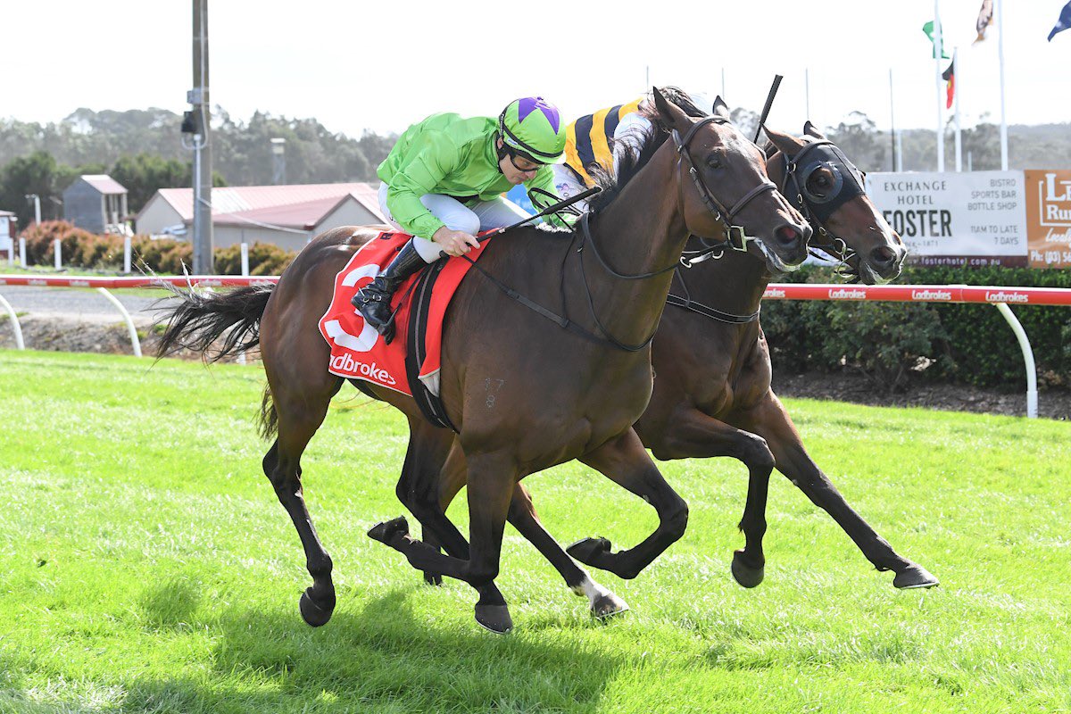 Liam Howley Racing tweet media