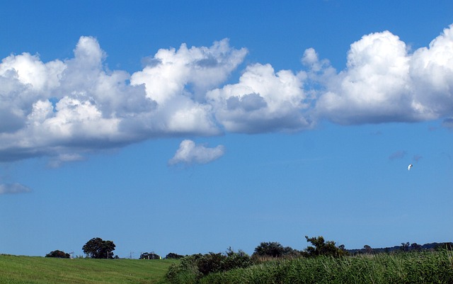 Phil Thames tweet media