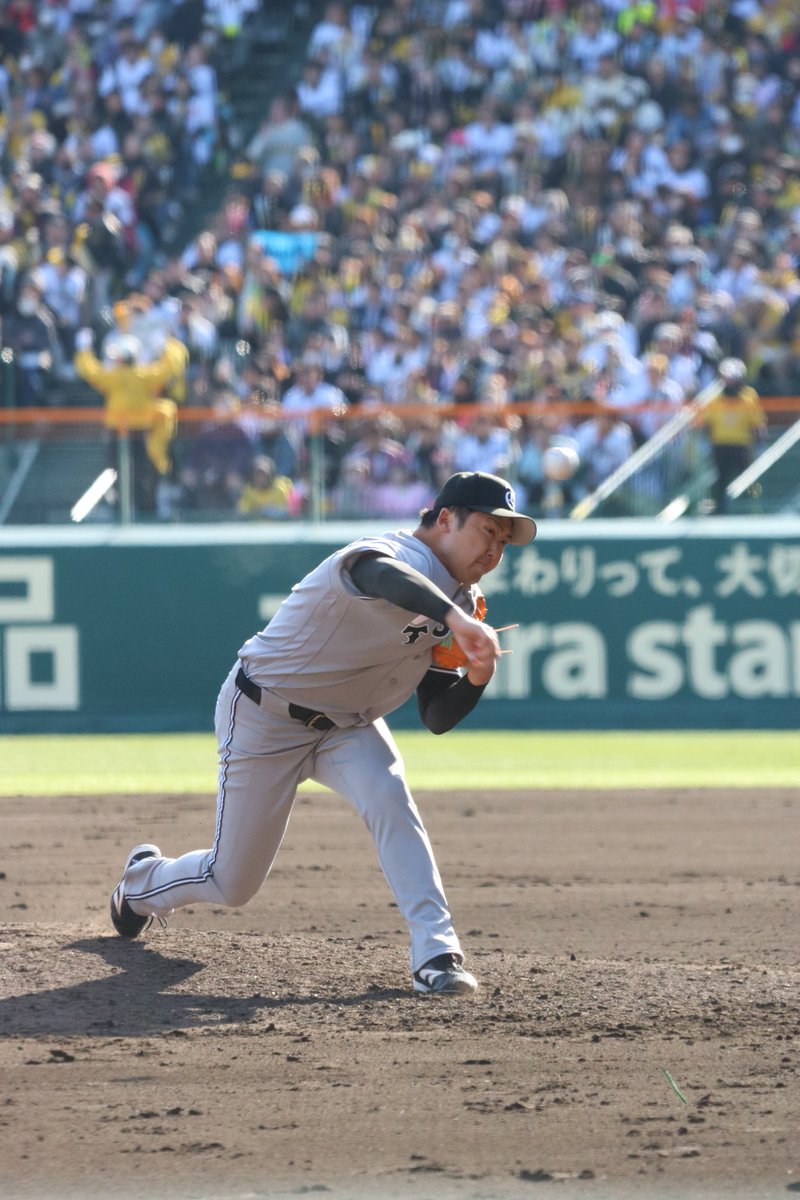 だいち tweet media