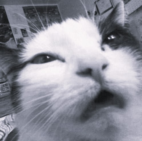 Ayuda me quieren abandonar 😭😭😭😭 Mi abandonadora es <a href="/andy_bee36/">⋅ʚAndyɞ⋅</a>  AYUDDAAAAAA 😭😭😭😭😭😭